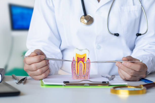 Best Emergency Dental Care for Broken or Chipped Teeth in Green Bay, WI